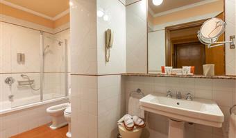 1 king bed, non-smoking, deluxe room, convertible into two twin beds