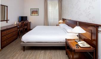 1 queen and 1 single, standard triple room
