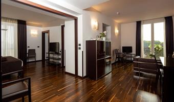suite-1 king bed, non-smoking, balcony, lounge area, parquet floor