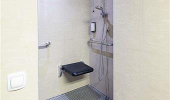 accessible - 1 king, mobility accessible, roll in shower, superior room, non-smoking