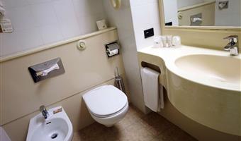 1 king bed, standard room, wi-fi, premium tv channels