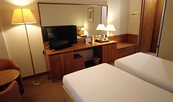 2 single beds, standard room, wi-fi, premium tv channels