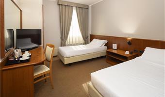 2 single beds, grab bar, ramp access, wheelchair, wi-fi, premium tv channels