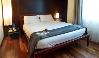 1 queen bed, executive room, wi-fi, free pay tv