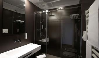 1 king bed, executive room, free sky-tv, shower only