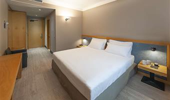 1 king bed, economy room, wi-fi