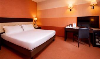 standard double room with double bed, about 22sqm - free wifi, kettle, 2 bottles of water, minibar, safe, lcd tv with sky channels