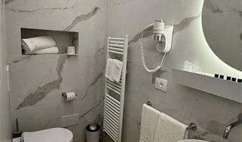 1 king bed, non-smoking, deluxe room, flat screen television