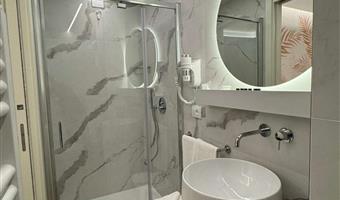 1 king bed, non-smoking, deluxe room, flat screen television