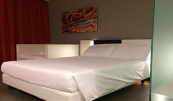 1 double bed, 2nd bed sofabed, classic room, wi-fi, digital television, minibar with free water