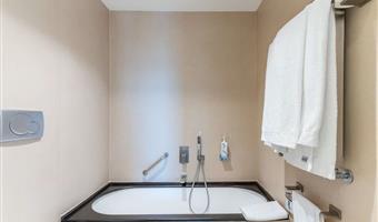 1 king bed, deluxe room, sofa, bathtub and shower, wi-fi, coffee and tea maker, bathrobe and slippers, 1 bottle of water, shopping card