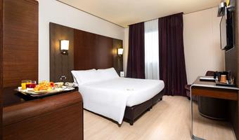 1 king bed, standard, spa access, wi-fi internet, parking