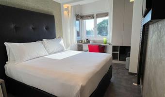 business room, 1 queen bed, non-smoking, flat screen television, street view, parquet floor, new room