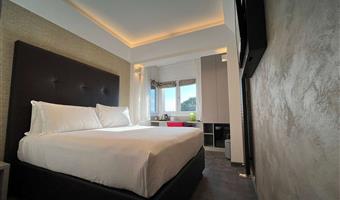 business room, 1 queen bed, non-smoking, flat screen television, street view, parquet floor, new room