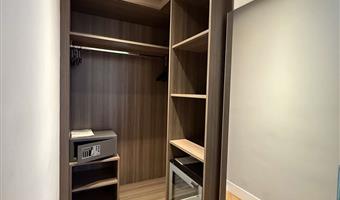 1 king bed, junior suite, double sofabed