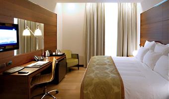 1 king bed, superior room, parquet, direct access to spa area, free garage