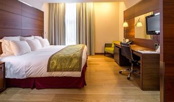 1 king bed, superior room, parquet, direct access to spa area, free garage