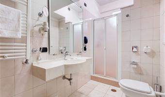 1 king bed, comfort room, extra bed, free wi-fi, free water, kettle, free gym access