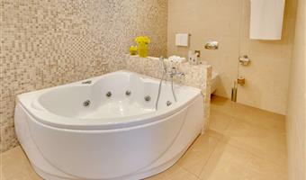 1 king bed,delux,parqet,living,sofa,vipcou,2skght
