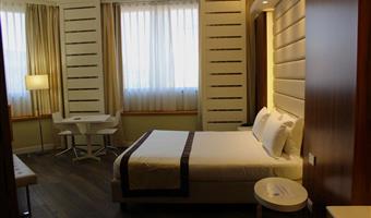 1 deluxe rooom with queen size bed, non smoking, green room, one free bottle of water, free parking garage with electric vehicle charging point