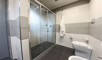 1 king bed, sofabed, deluxe room, whirlpool, shower