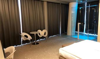 1 king bed, non-smoking, deluxe room, shower in room