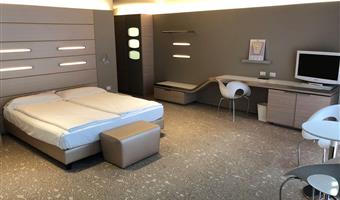 1 king bed, non-smoking, deluxe room, shower in room