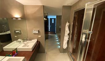 1 king bed, suite, penthouse, sofabed, canopy bed, dining area, wi-fi
