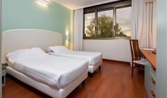 2 single beds, non-smoking, standard room, extra bed, wi-fi, free bottle of mineral water