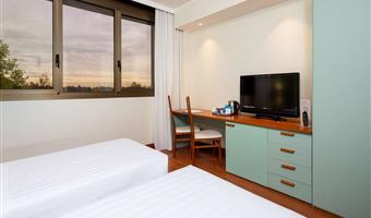 2 single beds, non-smoking, standard room, extra bed, wi-fi, free bottle of mineral water