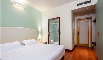 1 king bed, non-smoking, standard room, twin on request, wi-fi, free bottle of mineral water