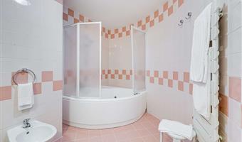 1 queen bed, family room, sofabed