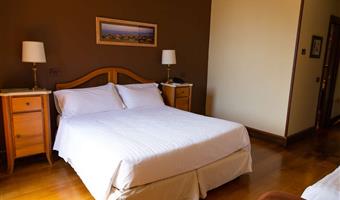 1 queen and 1 single, standard room
