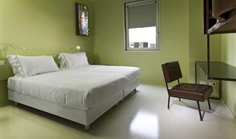 1 king bed, non-smoking, standard room, shower