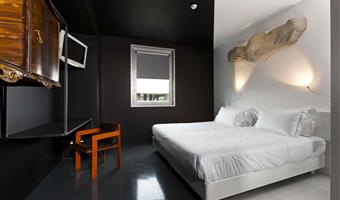 1 king bed, non-smoking, standard room, shower