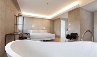 suite-1 king bed, non-smoking, free minibar, bathrobe and slippers, shower, freestanding tub