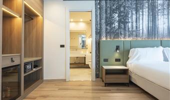 1 queen bed, non-smoking, superior room, balcony, lake view, free garage, free spa access