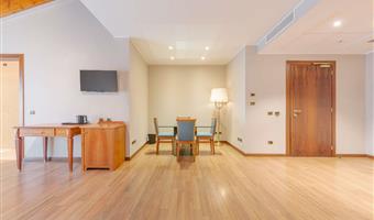 1 queen bed, non-smoking, junior suite, sofabed, balcony, free garage, free spa access