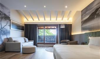 1 queen bed, non-smoking, junior suite, sofabed, balcony, free garage, free spa access