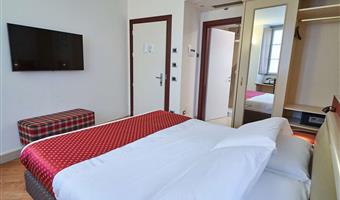 1 queen bed, non-smoking, standard room, convertible into two twin beds