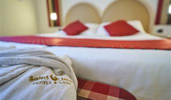 1 queen bed, non-smoking, superior room, bathtub whirlpool and shower, convertible into two twin beds
