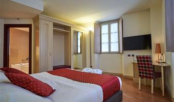 1 queen bed, non-smoking, superior room, bathtub whirlpool and shower, convertible into two twin beds