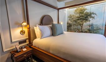 1 king bed, non-smoking, deluxe room