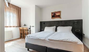 1 king bed, non-smoking, mountain view, shower only