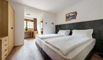 1 king bed, non-smoking, balcony, mountain view, shower only