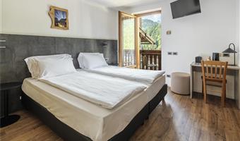 1 king bed, non-smoking, balcony, mountain view, shower only