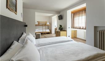 1 queen 1 bunk bed, non-smoking, family room, mountain view, shower only
