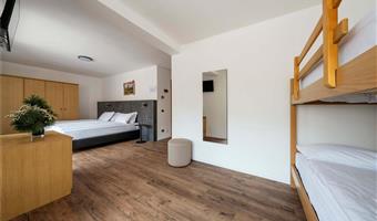 1 queen 1 bunk bed, non-smoking, family room, mountain view, shower only