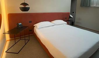 1 queen bed, non-smoking, standard room