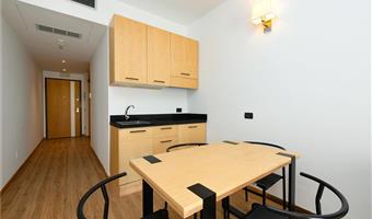 suite -1 queen bed 1 twin bed, non smoking rooms, family room, sofa bed, bunk bed, terrace, kitchenette